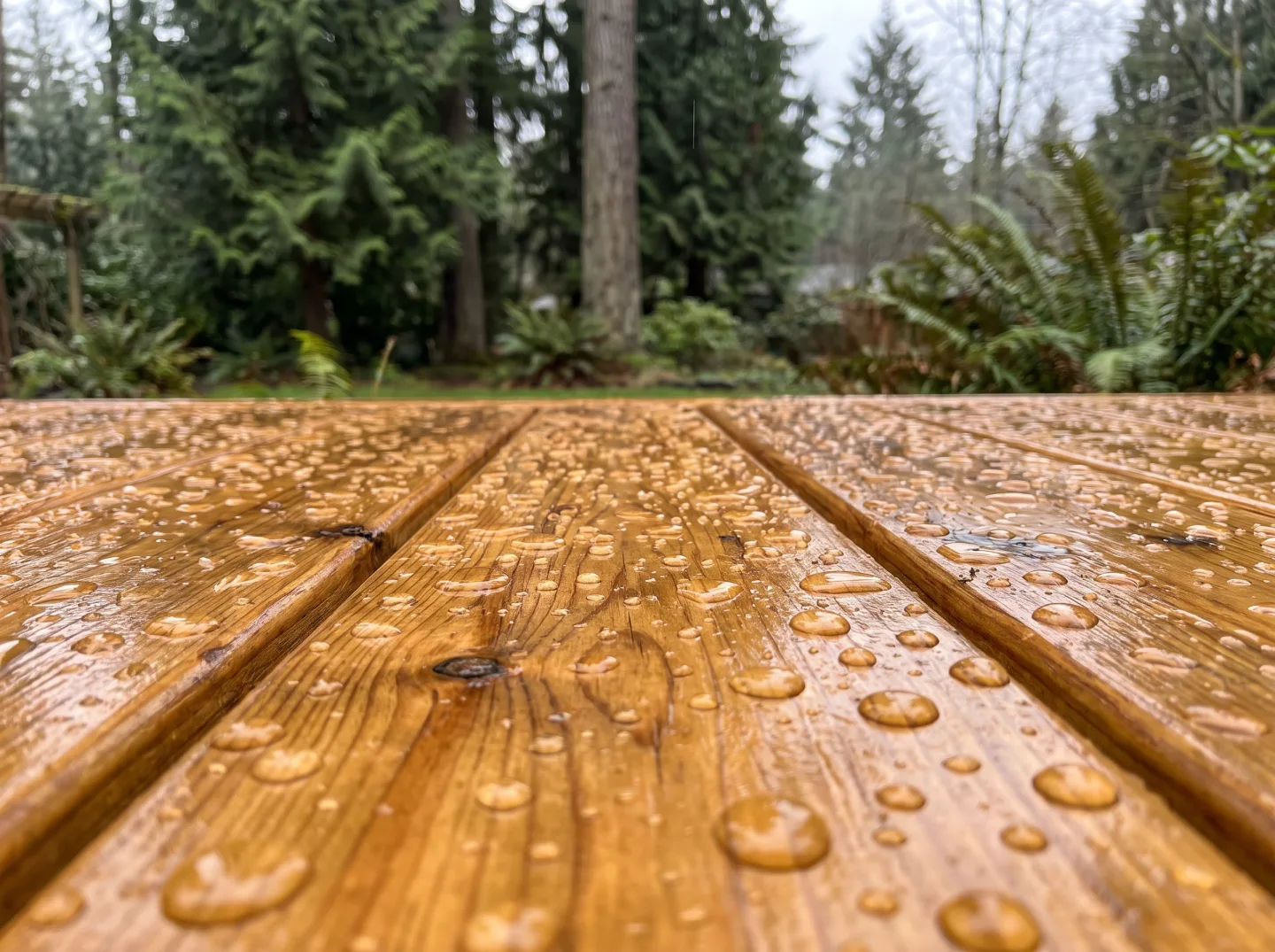 Deck Sealing & Waterproofing